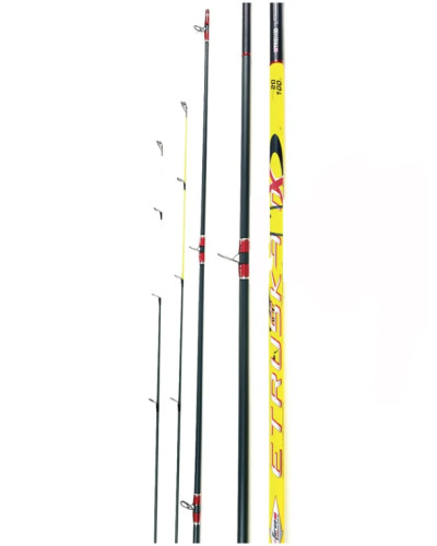 Canne Surfcasting Etruska NX  5,00M 20-100GR