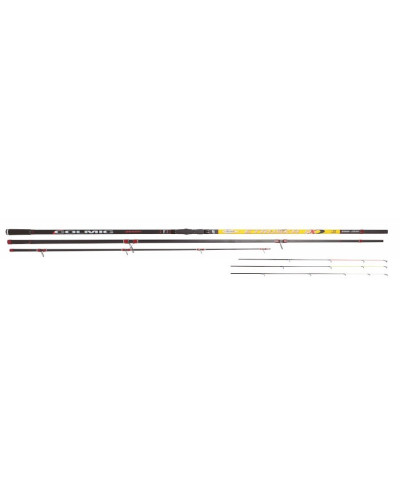 Canne Surfcasting Etruska NX  5,00M 20-100GR