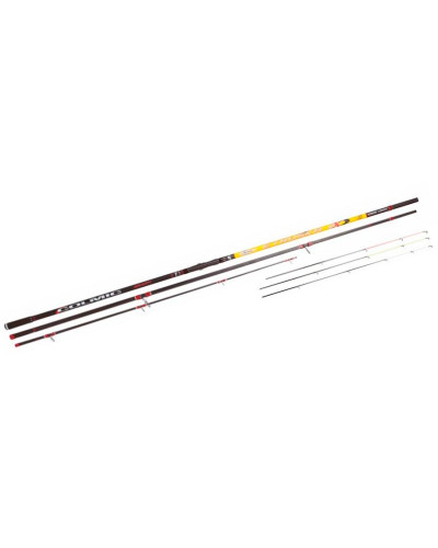 Canne Surfcasting Etruska NX  5,00M 20-100GR