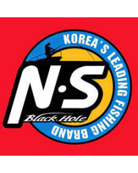 NS BLACK HOLE